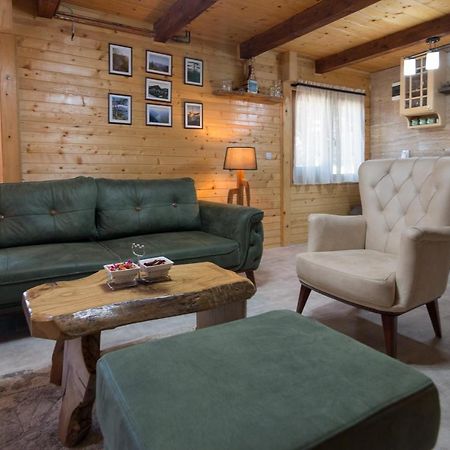 Brvnare Krstigora Villa Zaovine Buitenkant foto