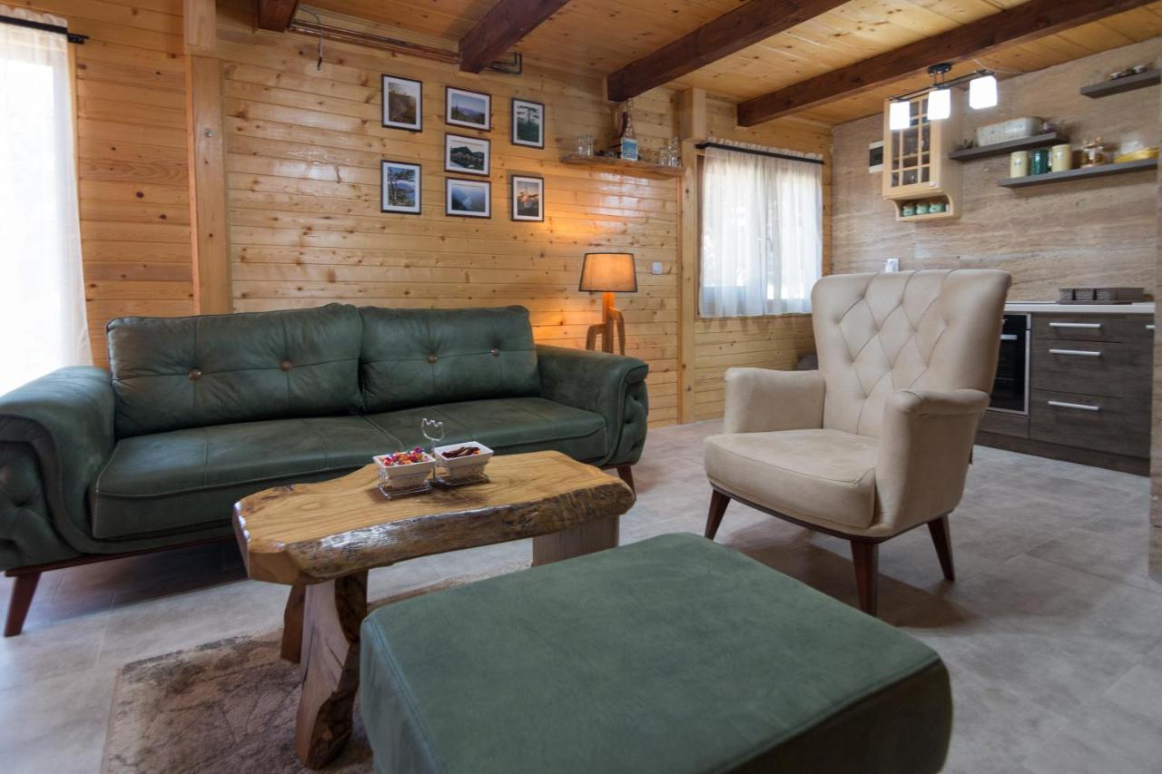Brvnare Krstigora Villa Zaovine Buitenkant foto