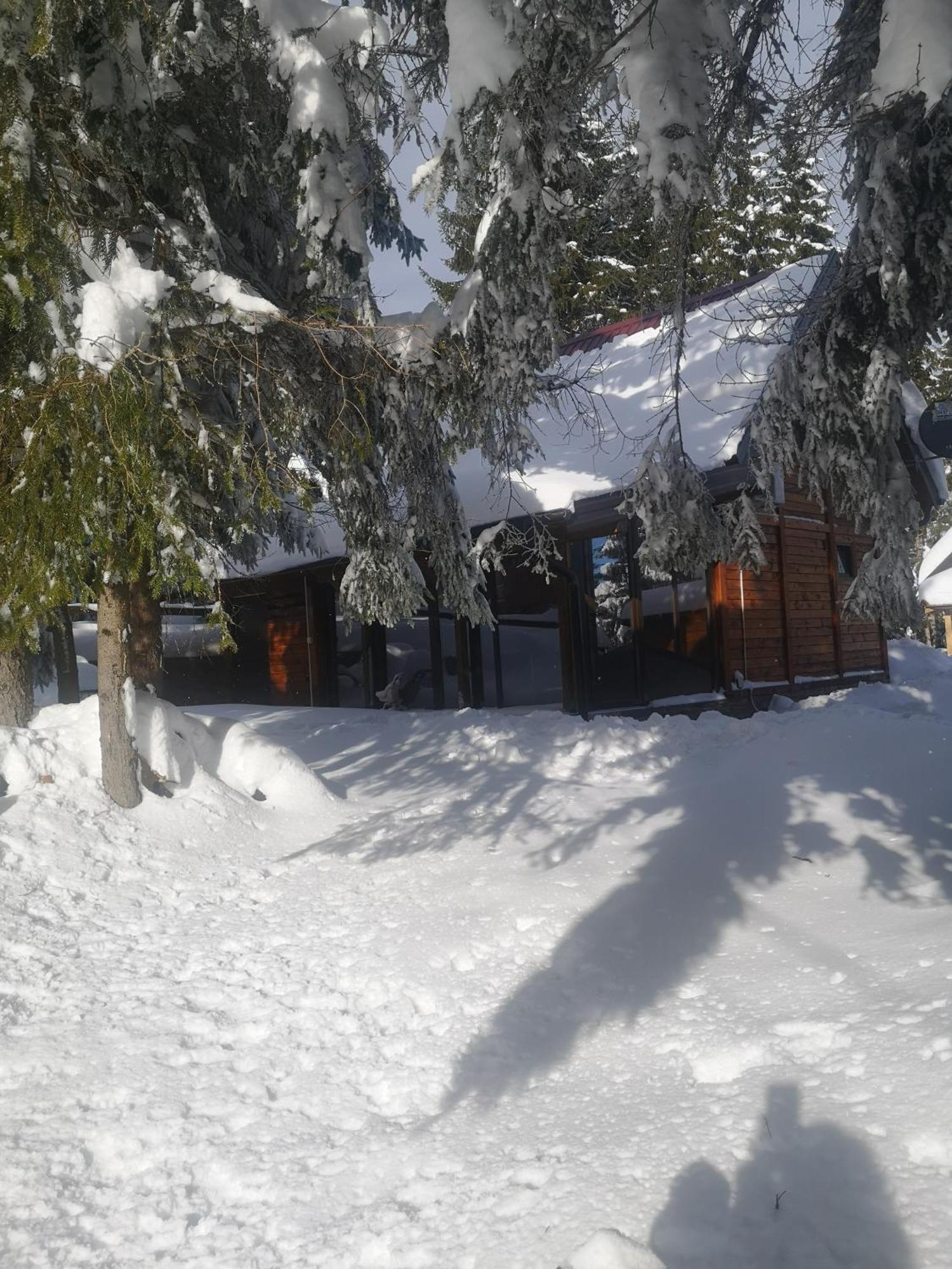 Brvnare Krstigora Villa Zaovine Kamer foto