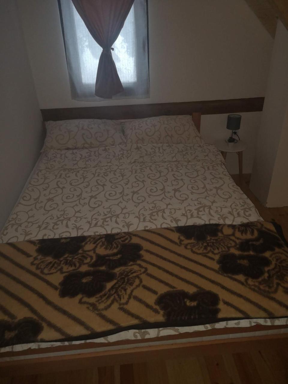 Brvnare Krstigora Villa Zaovine Buitenkant foto