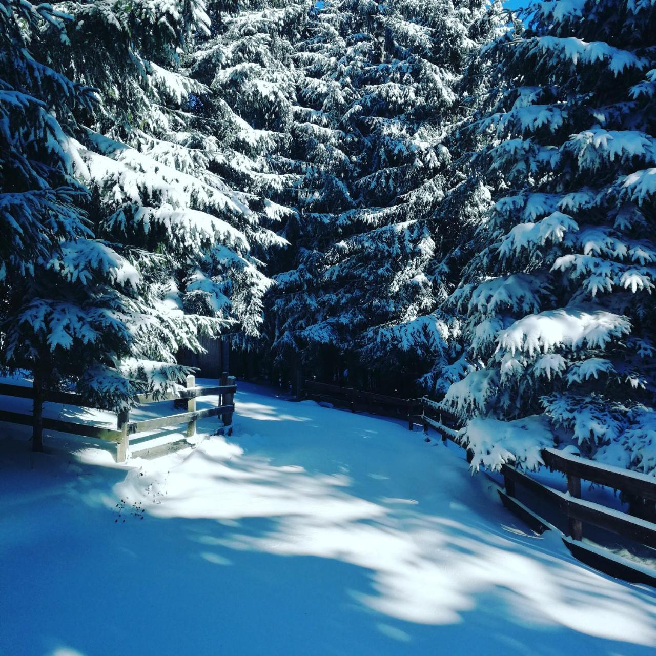Brvnare Krstigora Villa Zaovine Buitenkant foto