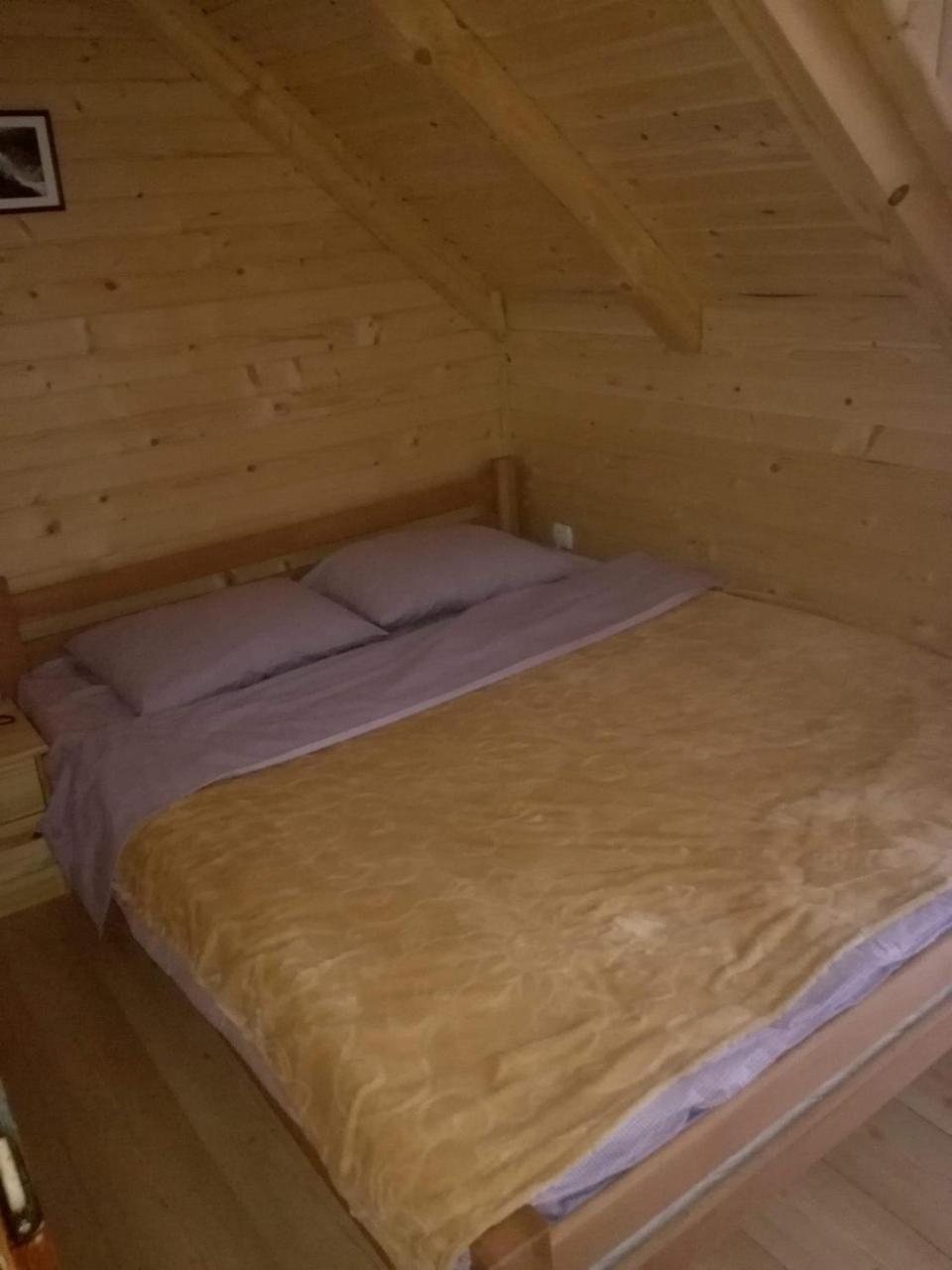 Brvnare Krstigora Villa Zaovine Buitenkant foto
